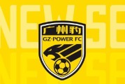 九游体育-🎤广州豹官方声明：有偿招募球迷观赛等言论均为不实信息