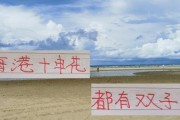 九游体育在线-中超16轮下来 是申花的刘诚宇厉害 还是海港的李新翔更加帅